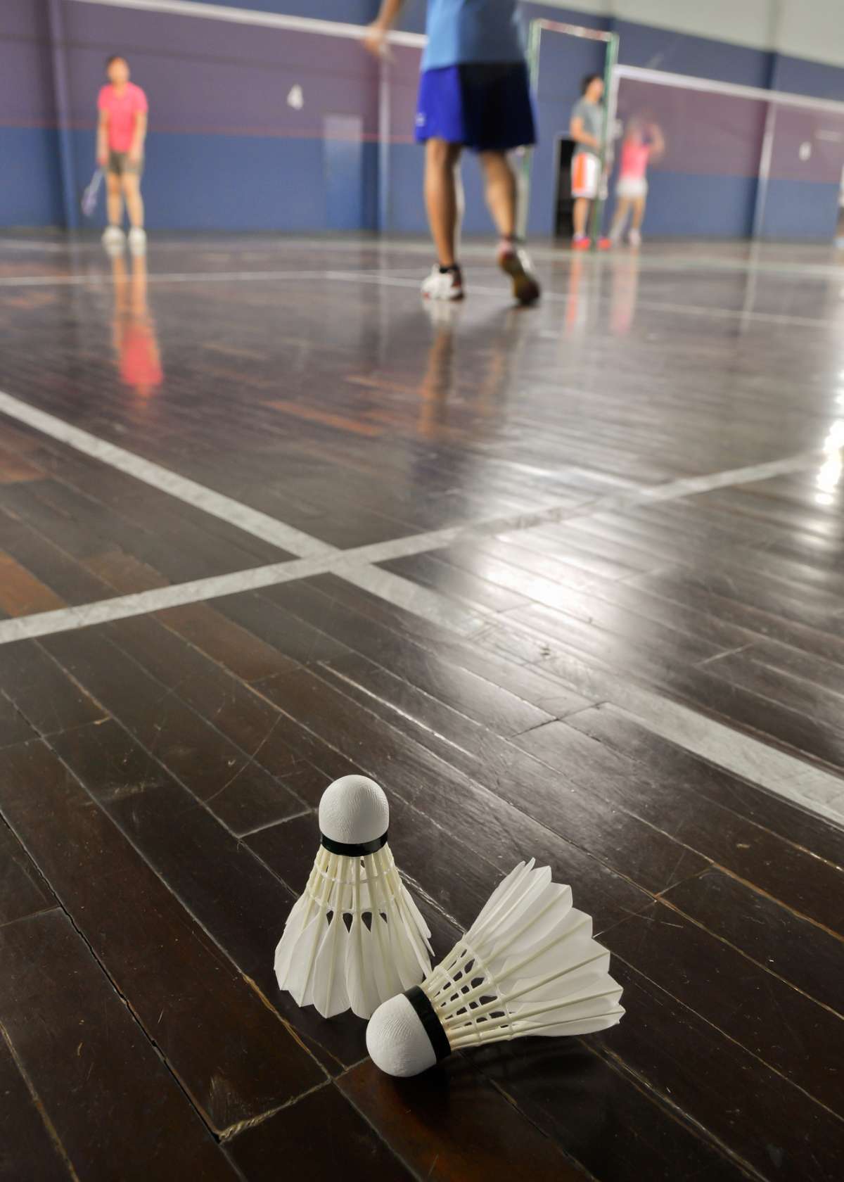 Can I Use Badminton Shoes for Volleyball?