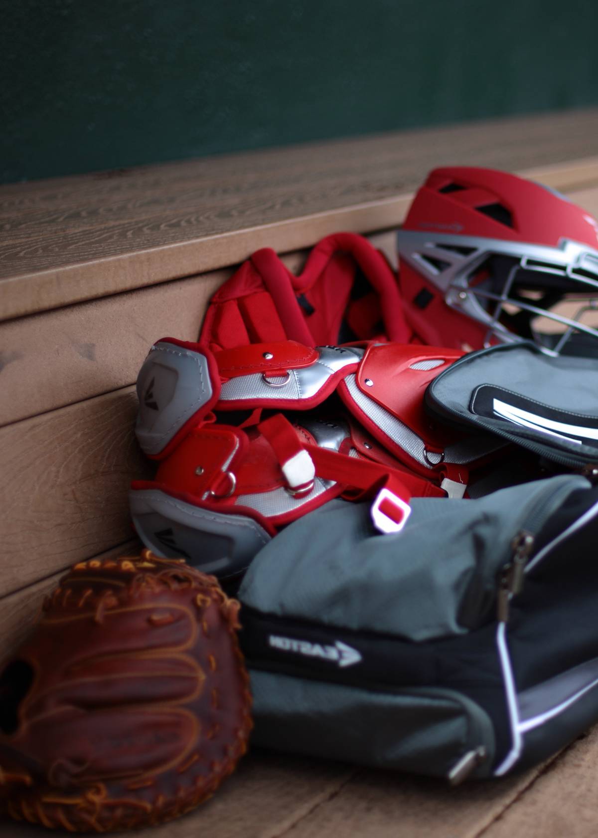 Softball bag